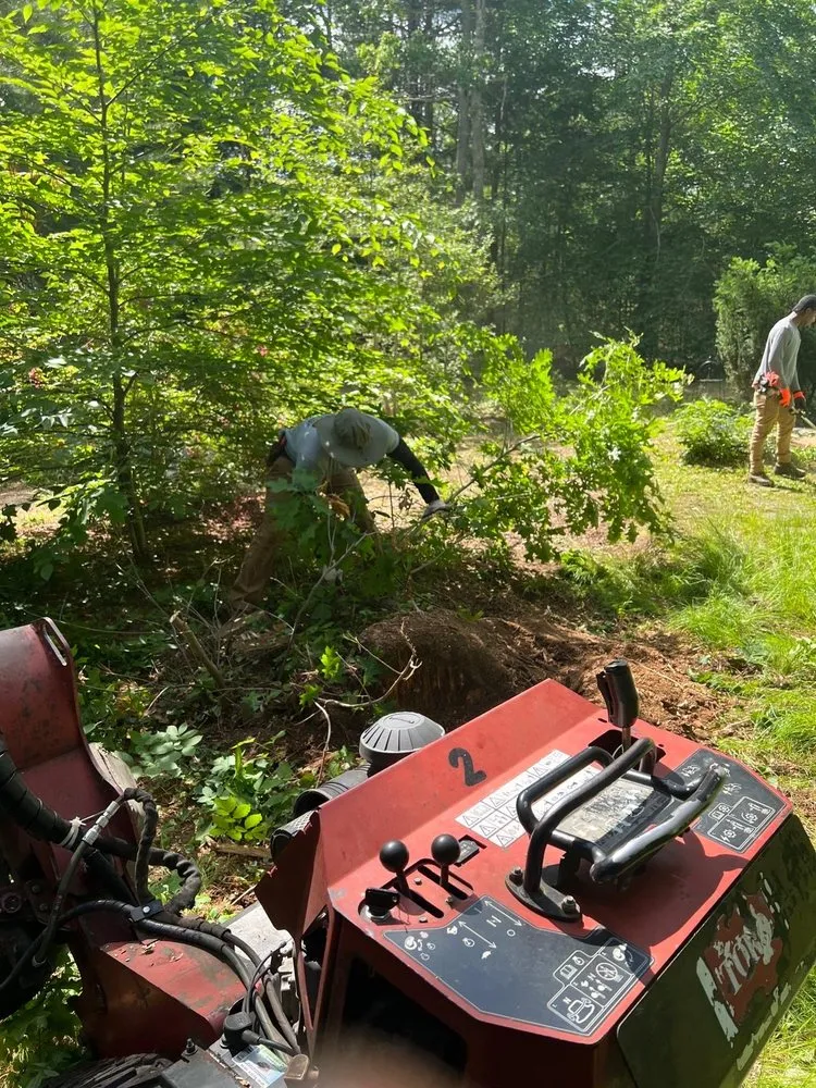 Reliable landscaping services in Sandwich, MA - Devaland Landscaping