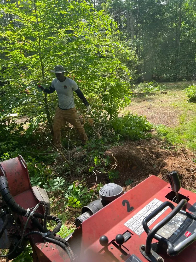 Top-rated garden landscaping for residential properties in Sandwich, MA by Devaland Landscaping