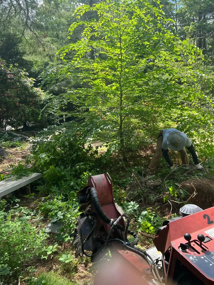 Professional yard cleanup service for year-round maintenance across Sandwich, MA - Devaland Landscaping