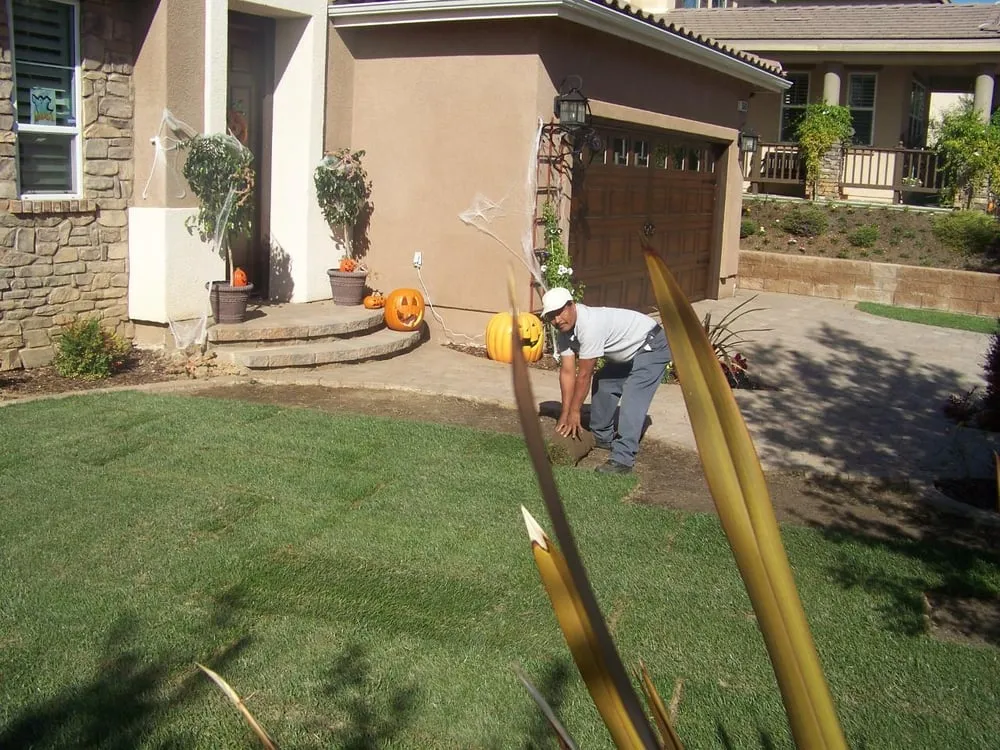 Trusted lawn care service in Escondido, CA by Devana Landscape