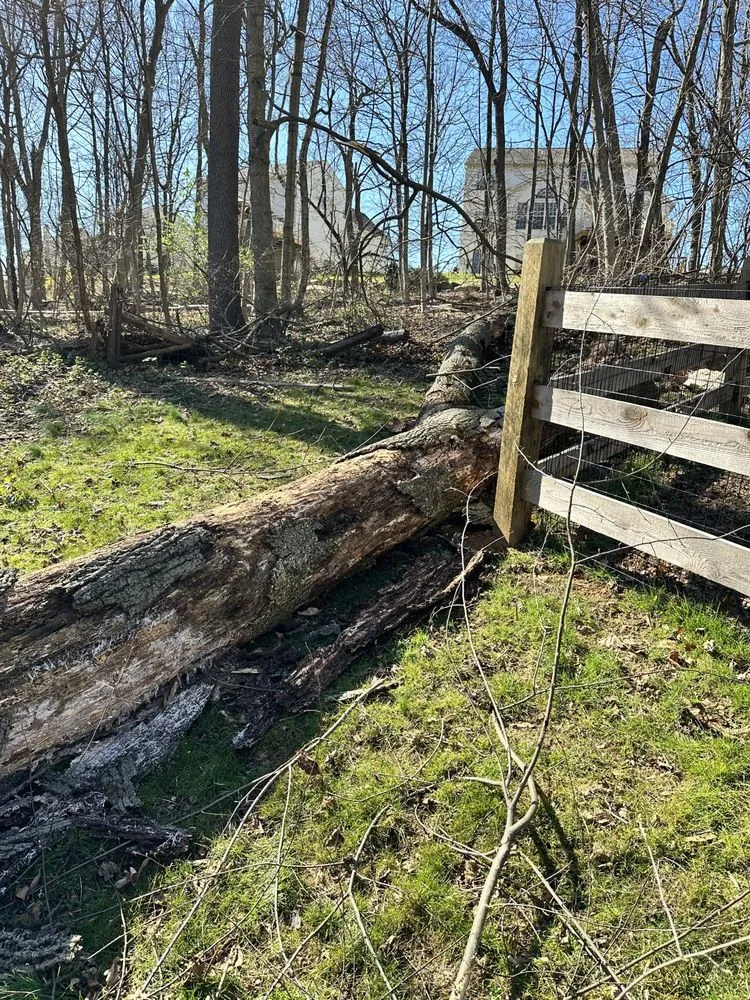 Top-rated landscape installation in Coatesville, PA by Devaney’s Pro Lawn Care