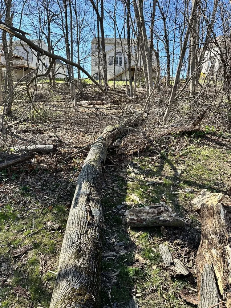 Top-rated lawn care service experts serving Coatesville, PA - Devaney’s Pro Lawn Care