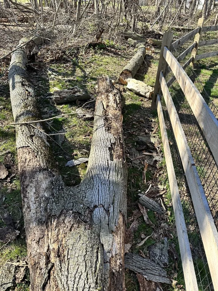 Reliable garden landscaping experts serving Coatesville, PA - Devaney’s Pro Lawn Care