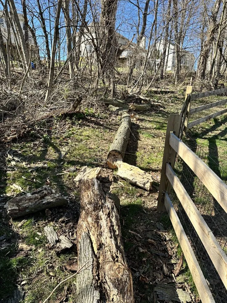 Affordable yard cleanup service in Coatesville, PA by Devaney’s Pro Lawn Care