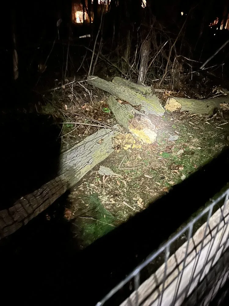 Top-rated landscape installation for homes in Coatesville, PA by Devaney’s Pro Lawn Care