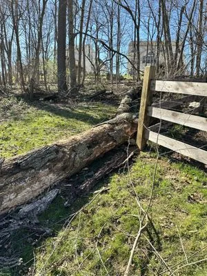 Devaney’s Pro Lawn Care Logo