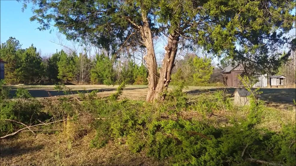 Top-rated lawn care service with custom design in Clayton, NC by Devereaux Lawncare and Landscaping