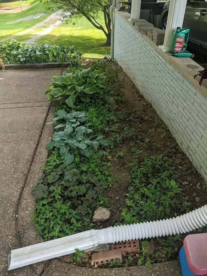 Affordable lawn mowing service in Evansville, IN - Devers Tree Care