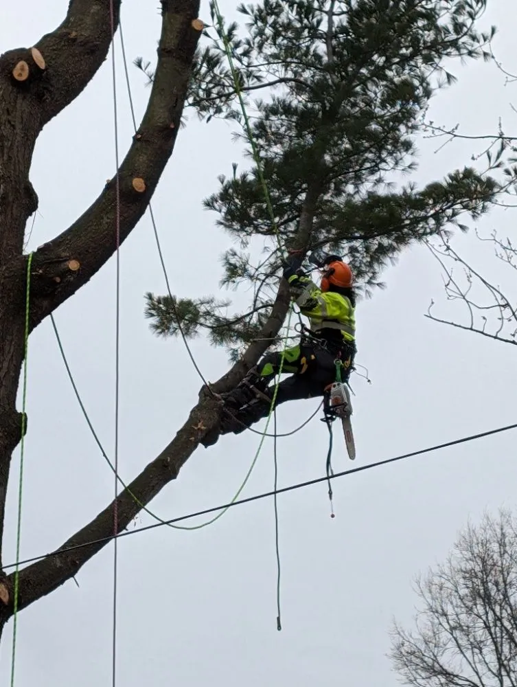 Custom landscape installation in Evansville, IN by Devers Tree Care