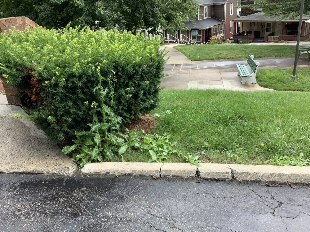 Professional outdoor landscaping in Johnstown, PA by Devico Landscaping