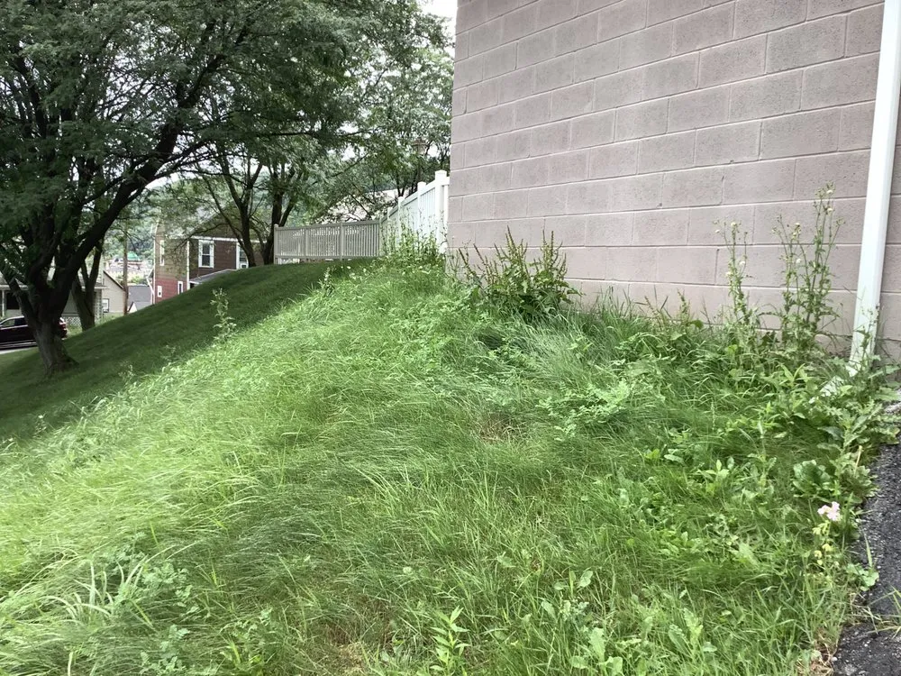 Professional lawn care service in Johnstown, PA by Devico Landscaping