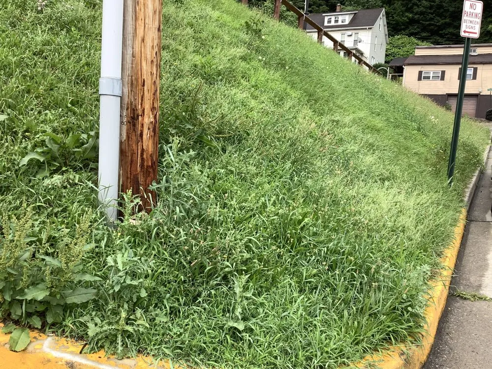 Professional landscape design for homes in Johnstown, PA by Devico Landscaping