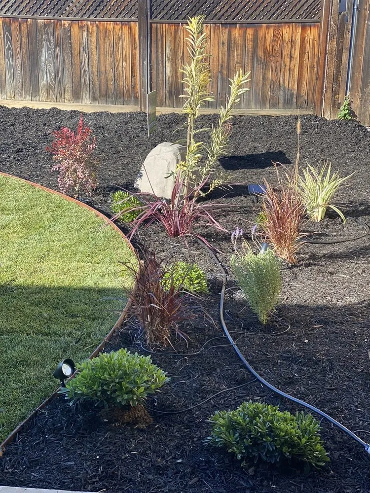 Reliable lawn care service near you in Highland, CA by Devil Dog Landscaping