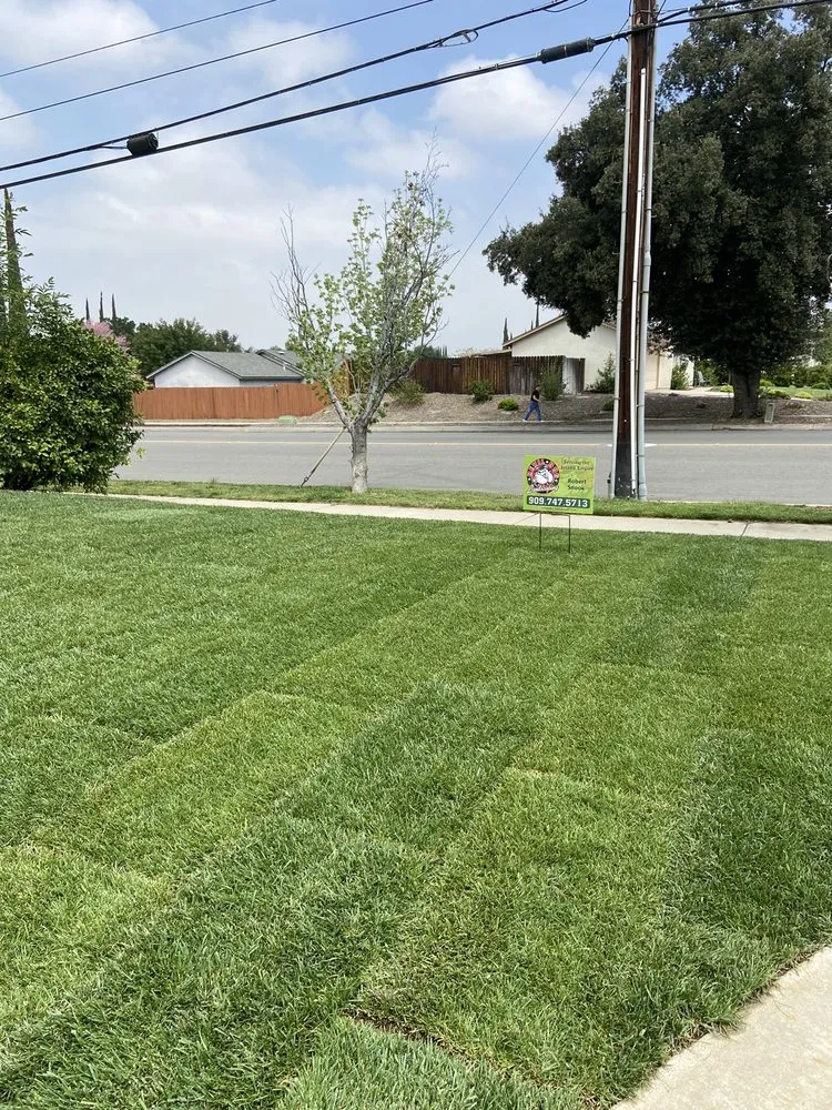 Top-rated residential landscaping near you in Highland, CA by Devil Dog Landscaping