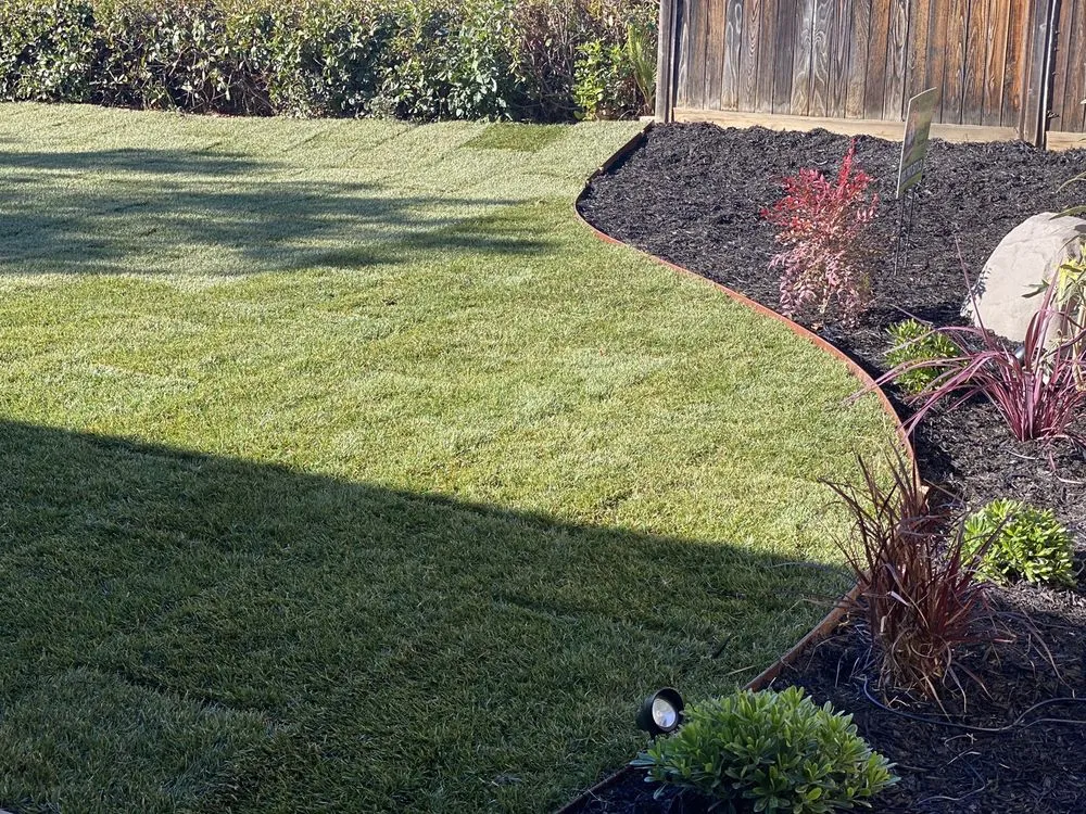 Trusted landscaping services near you in Highland, CA by Devil Dog Landscaping