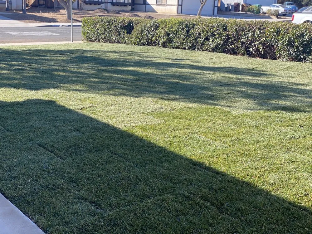 Trusted landscaping services in Highland, CA - Devil Dog Landscaping