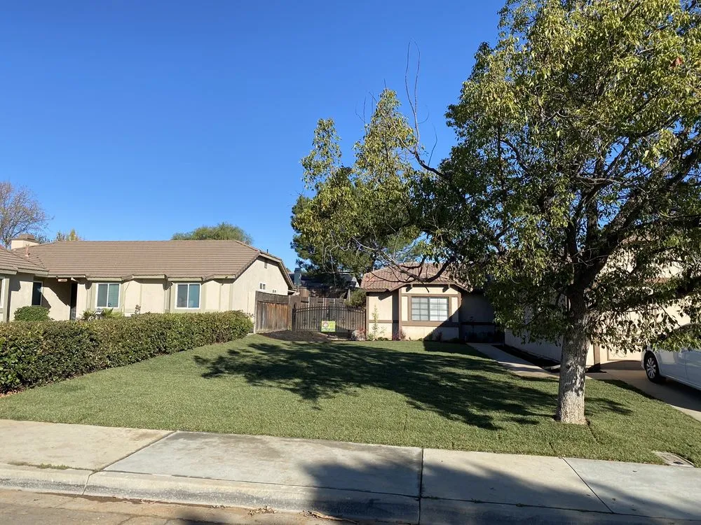 Top-rated yard cleanup service with custom design in Highland, CA by Devil Dog Landscaping