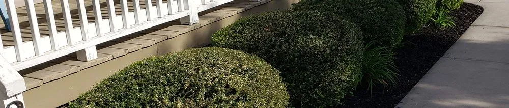 Custom outdoor landscaping for homes across Moncks Corner, SC - Devil Dog Lawn Care