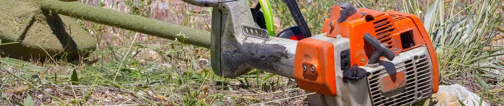 Local yard cleanup service experts serving Moncks Corner, SC - Devil Dog Lawn Care