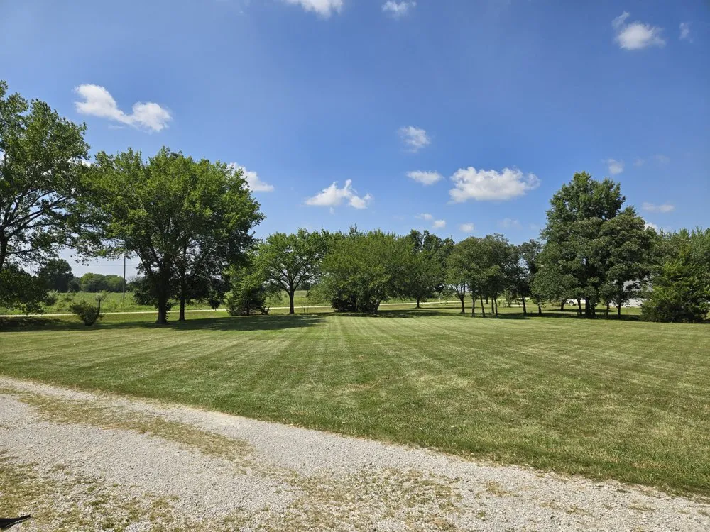 Expert yard cleanup service in Clinton, MO by Devil Dog Mowing