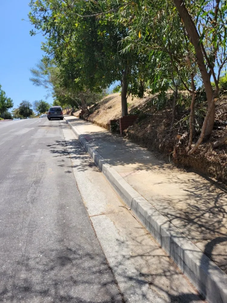 Local yard cleanup service for year-round maintenance across Buena Park, CA - Devin Innovations