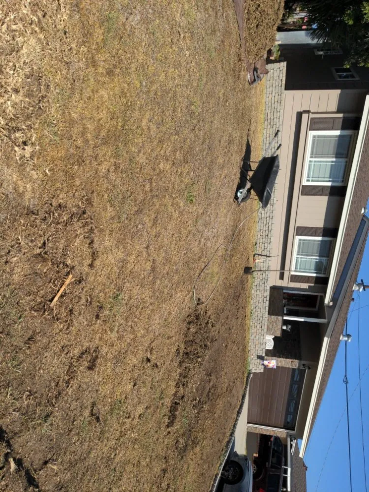 Affordable residential landscaping with custom design in Buena Park, CA by Devin Innovations