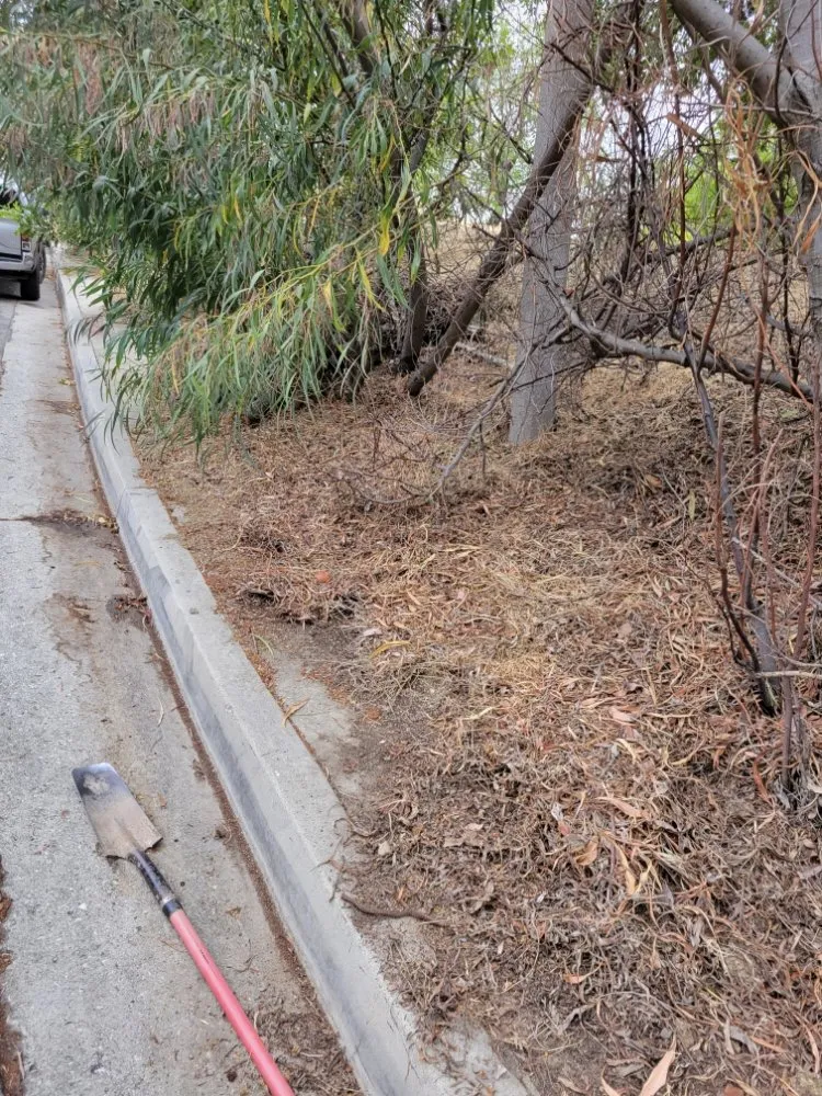 Affordable landscape design in Buena Park, CA - Devin Innovations