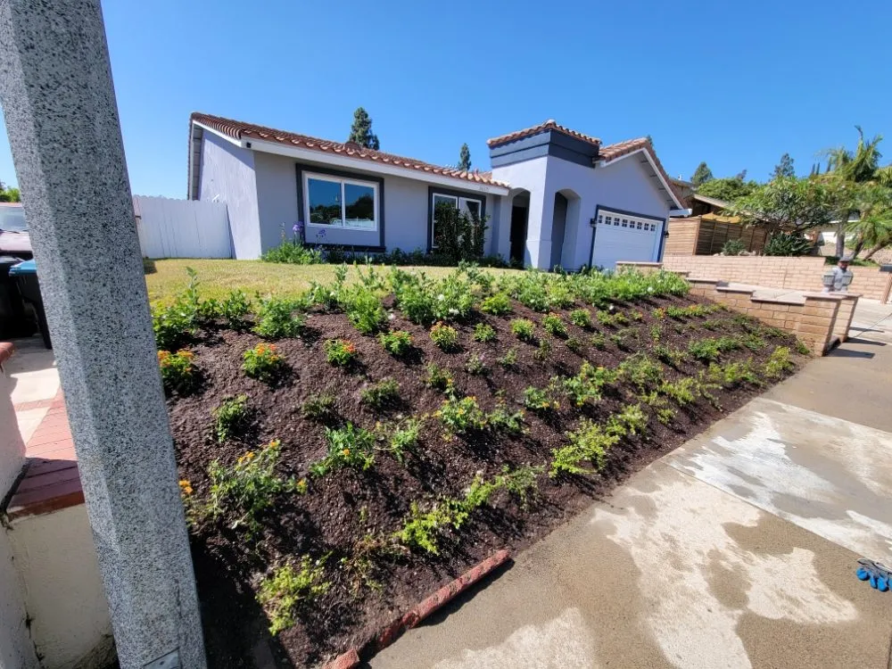 Professional landscape design in Buena Park, CA - Devin Innovations