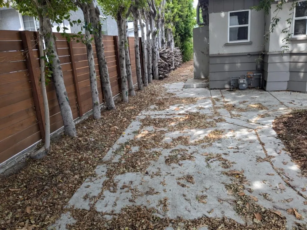 Reliable yard maintenance in Buena Park, CA by Devin Innovations