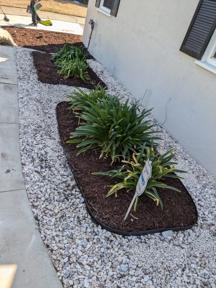 Affordable yard cleanup service for outdoor upgrades in Buena Park, CA by Devin Innovations