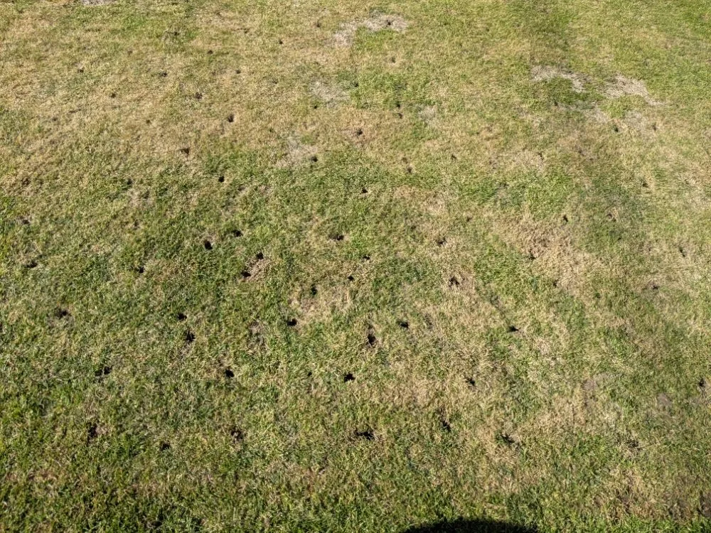 Expert landscaping services experts serving Buena Park, CA - Devin Innovations