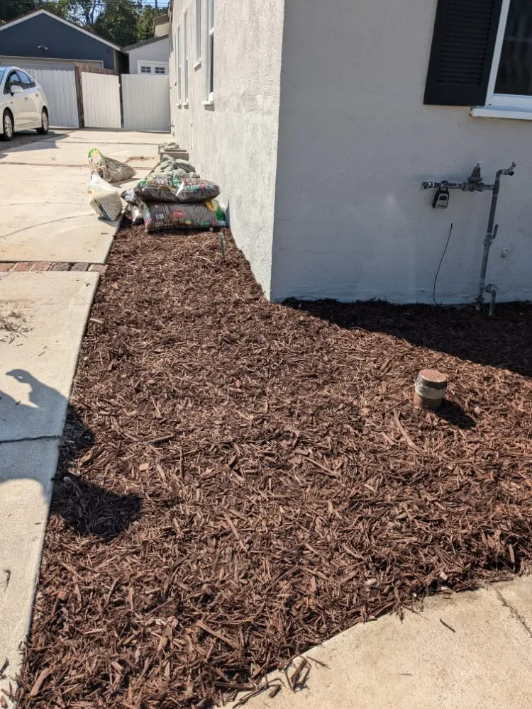 Top-rated landscaping services for outdoor upgrades in Buena Park, CA by Devin Innovations