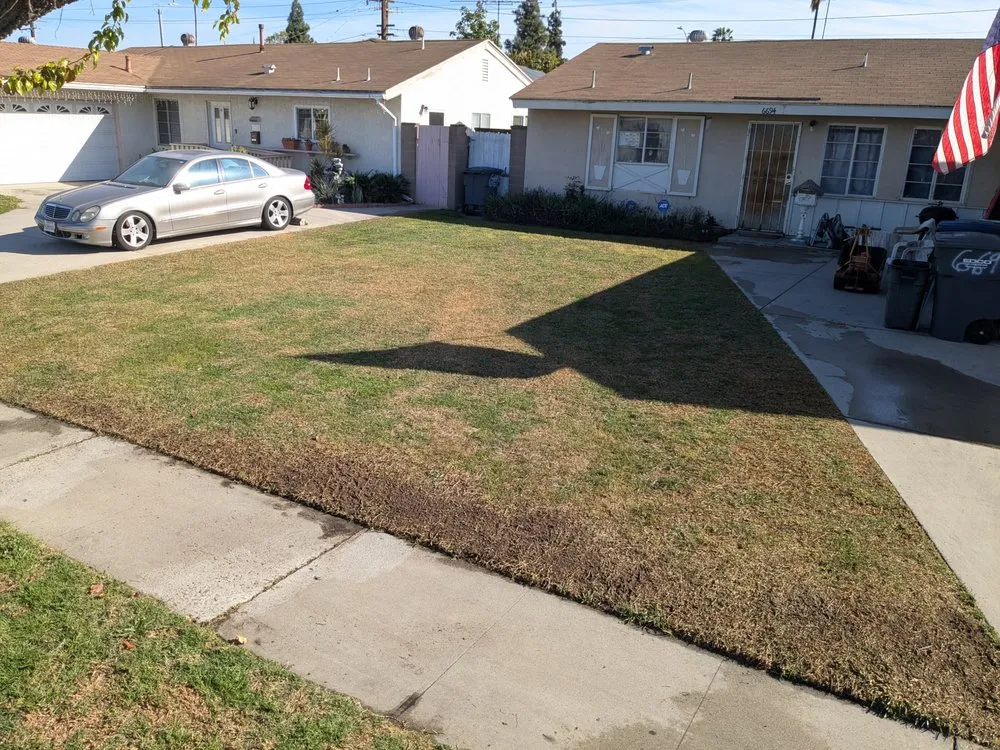 Affordable landscaping services in Buena Park, CA by Devin Innovations