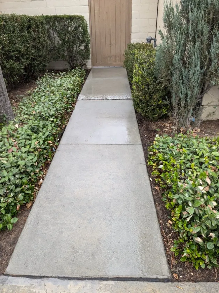 Local landscaping services for beautiful yards in Buena Park, CA by Devin Innovations