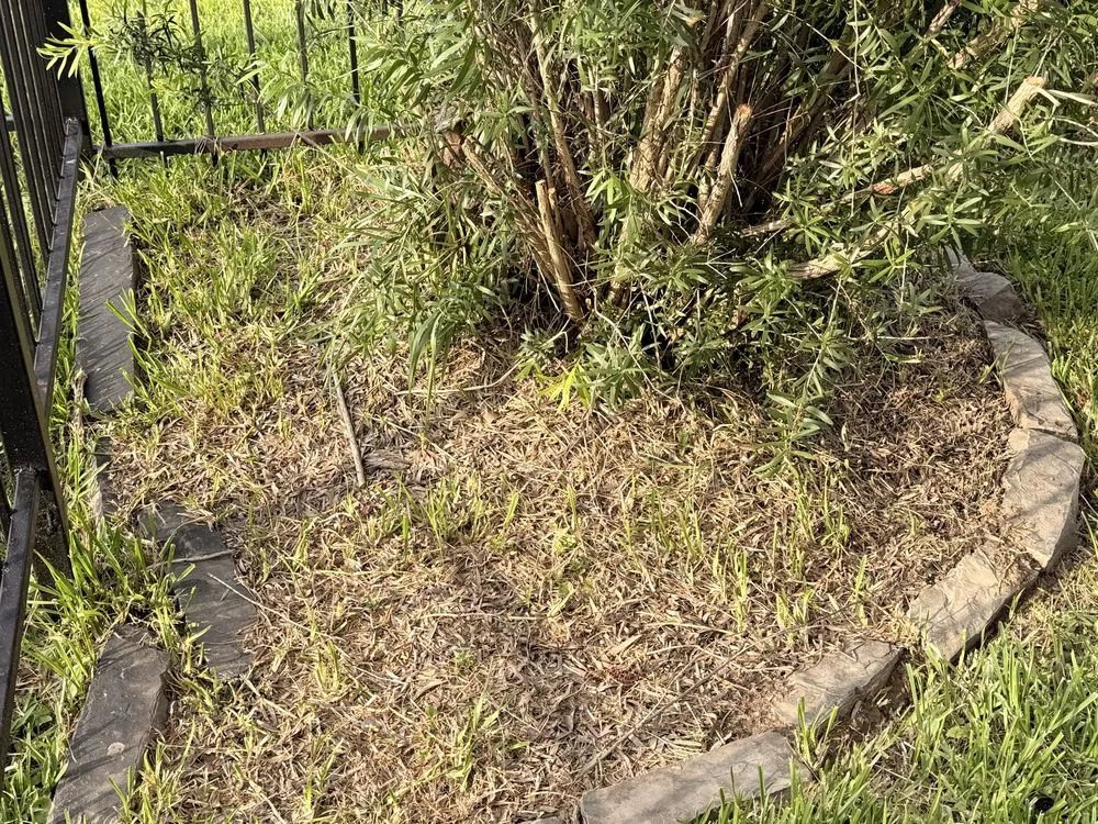 Top-rated landscape design experts serving Houston, TX - Devin Landscapes