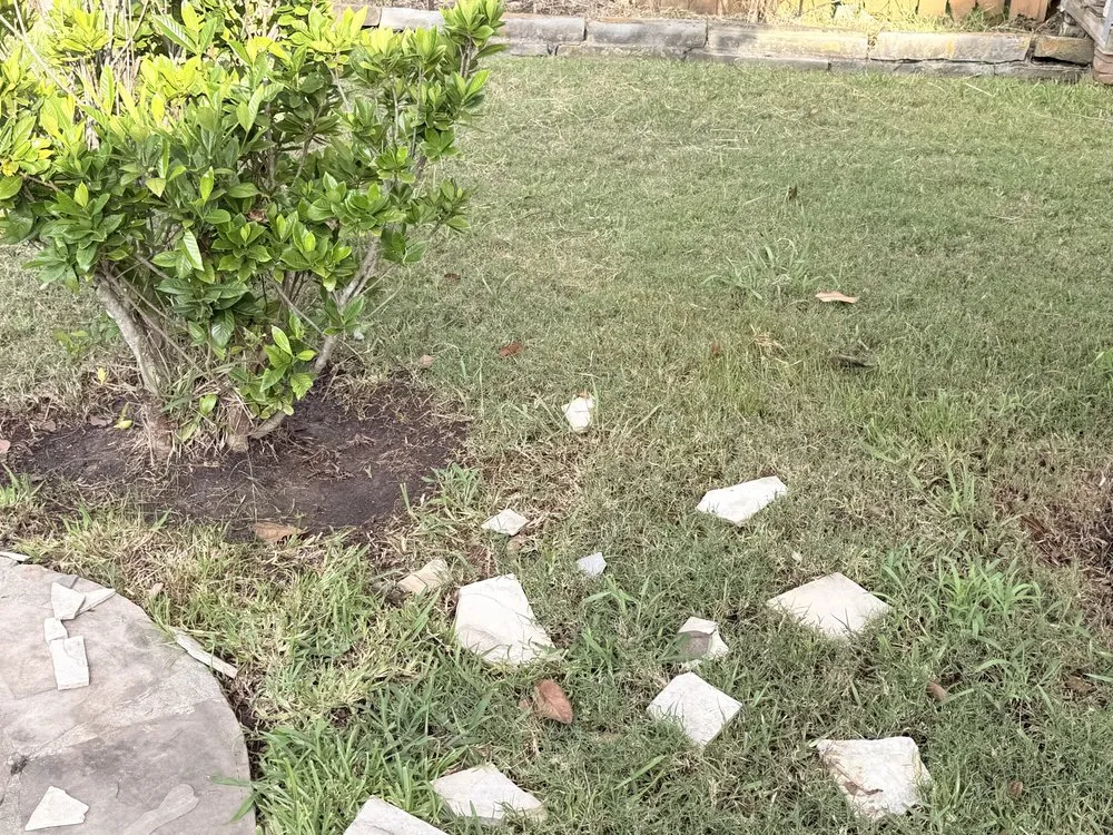 Reliable landscaping services experts serving Houston, TX - Devin Landscapes