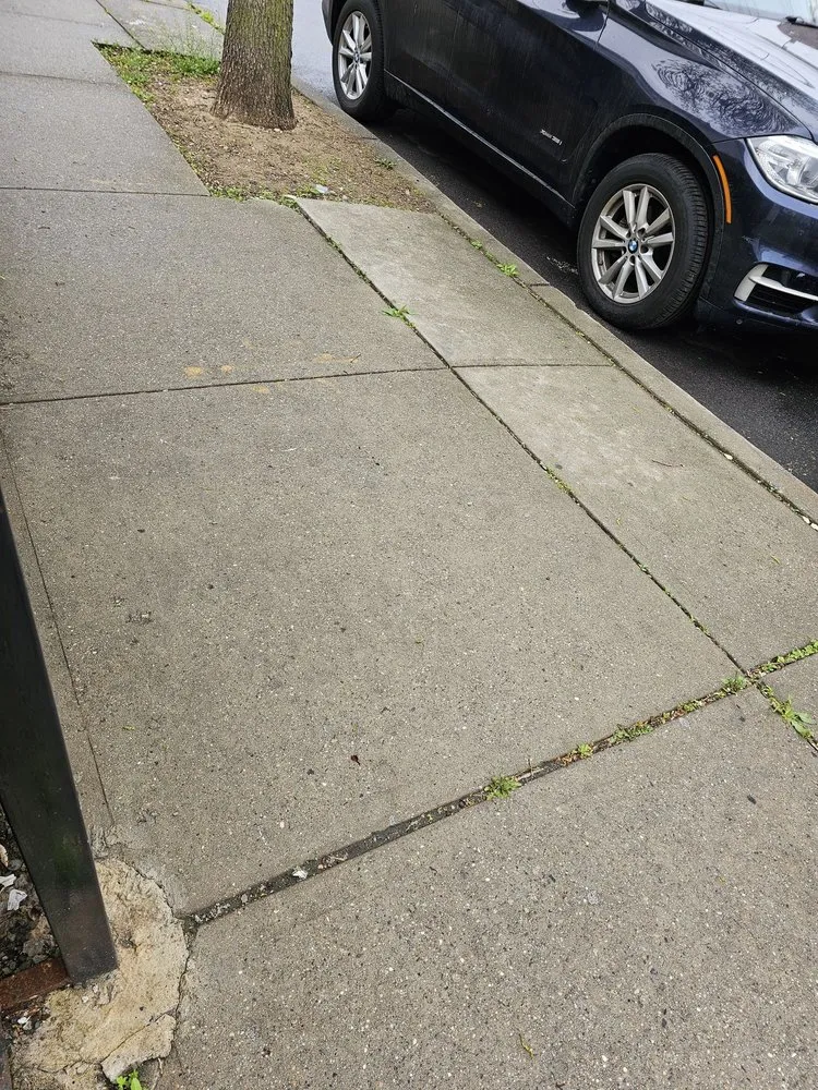 Local landscape design in Houston, TX - Devin Landscapes