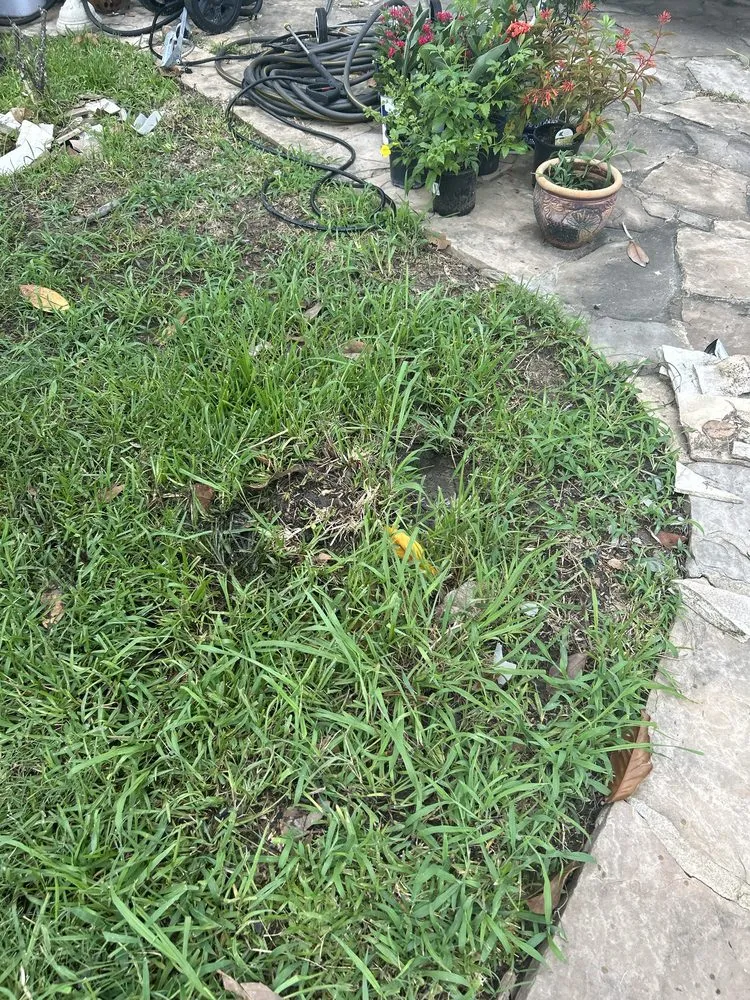 Affordable yard maintenance for homes in Houston, TX by Devin Landscapes