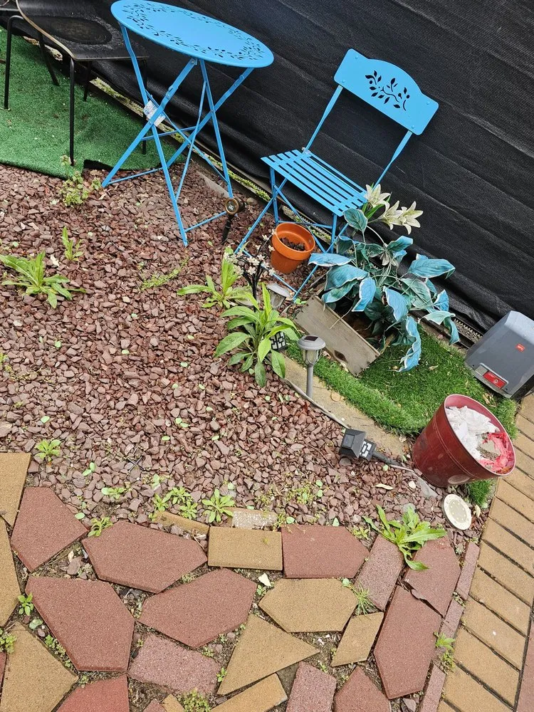 Expert yard cleanup service in Houston, TX - Devin Landscapes