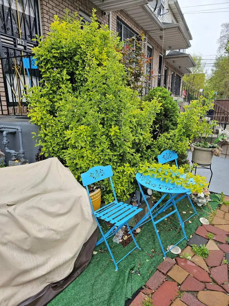 Professional garden landscaping in Houston, TX by Devin Landscapes