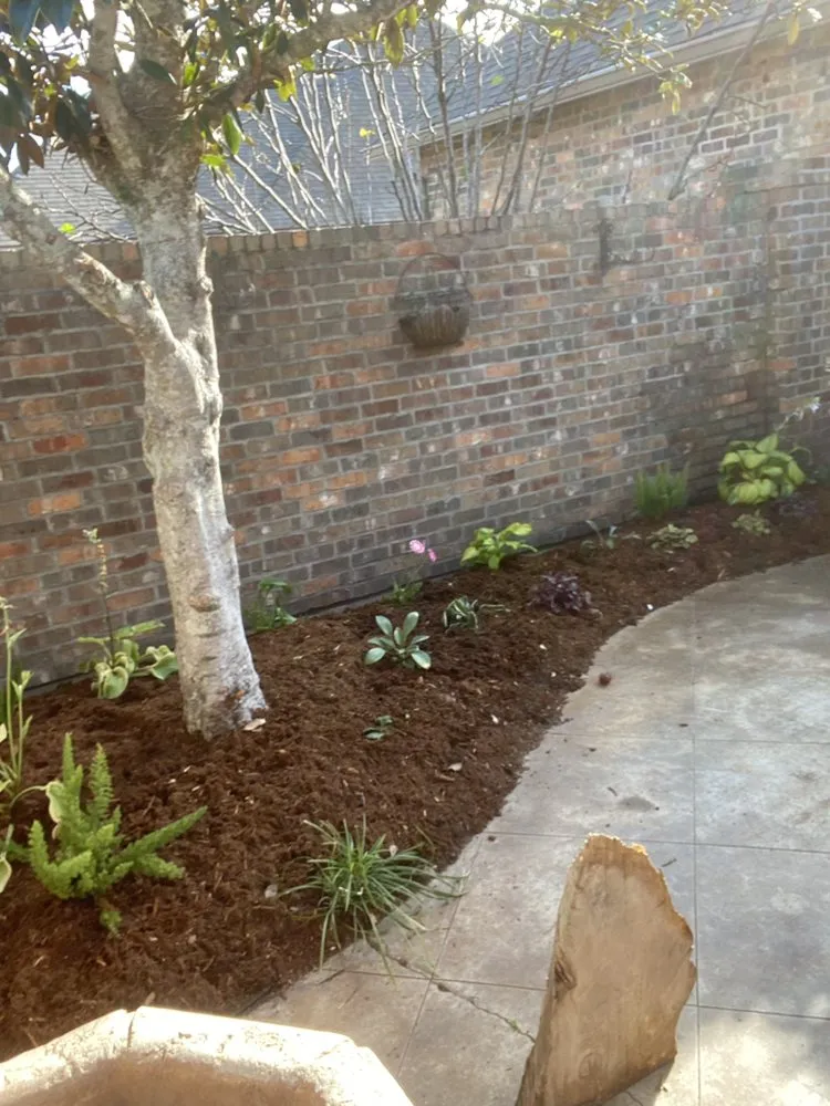 Professional yard maintenance in Opelousas, LA - Devin Property Management