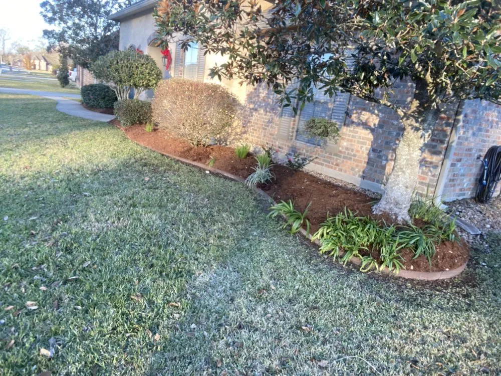 Professional yard cleanup service in Opelousas, LA by Devin Property Management