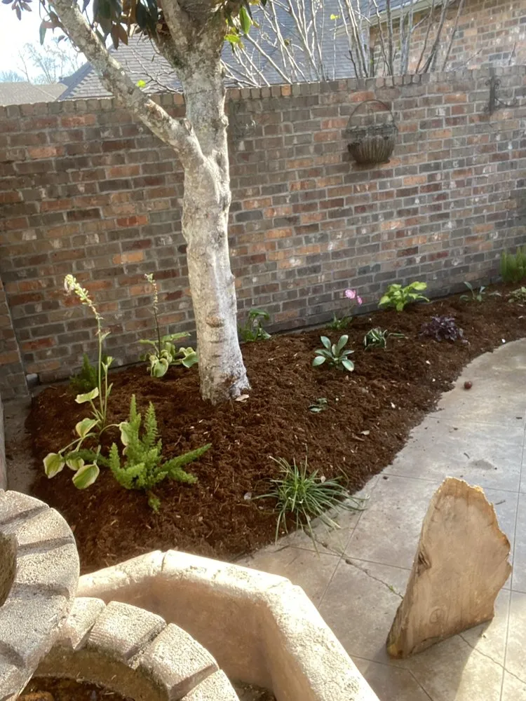 Local yard cleanup service for beautiful yards across Opelousas, LA - Devin Property Management