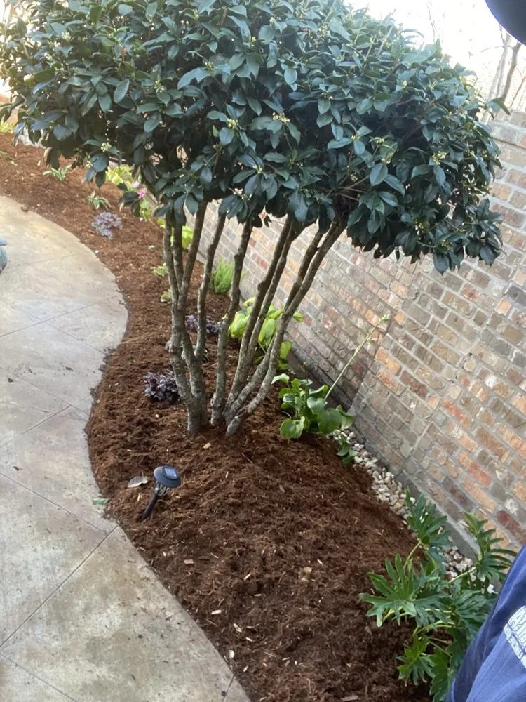 Top-rated garden landscaping in Opelousas, LA - Devin Property Management