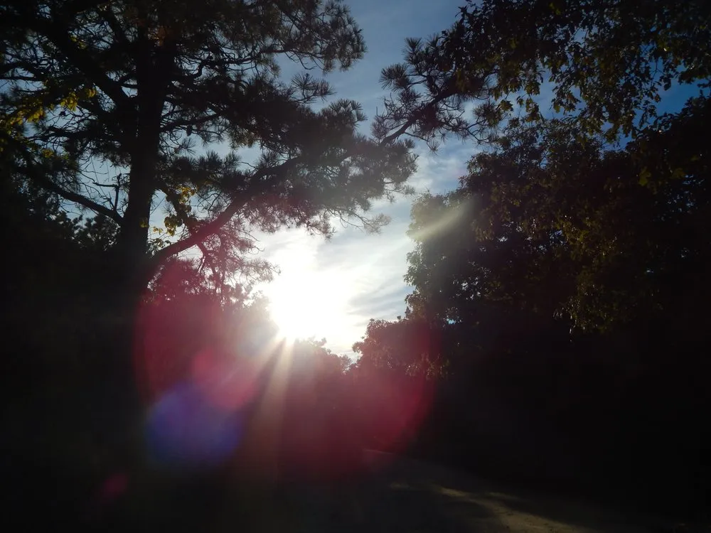 Custom outdoor landscaping for homes across Barnstable, MA - Devine design tree and landscape