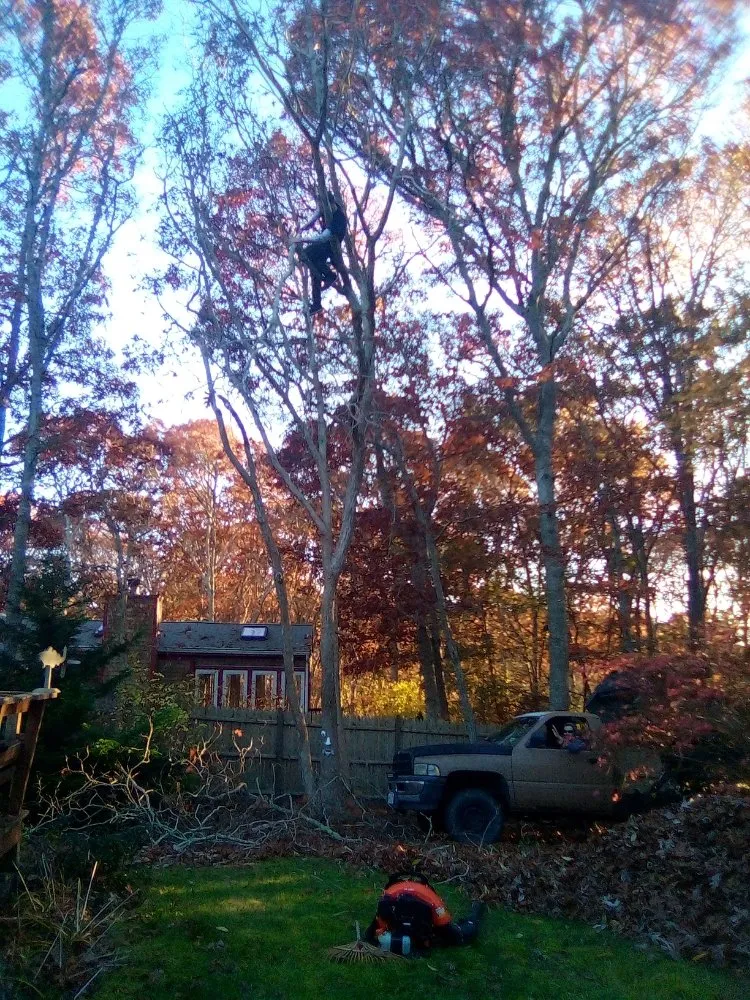 Reliable lawn care service with custom design across Barnstable, MA - Devine design tree and landscape