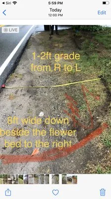 Devine design tree and landscape Logo