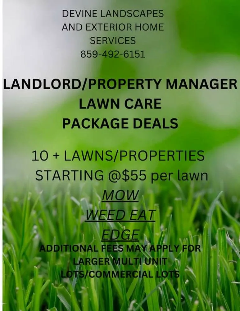Local outdoor landscaping for beautiful yards in Lexington-Fayette, KY by Devine Landscapes and Exterior Homes Services