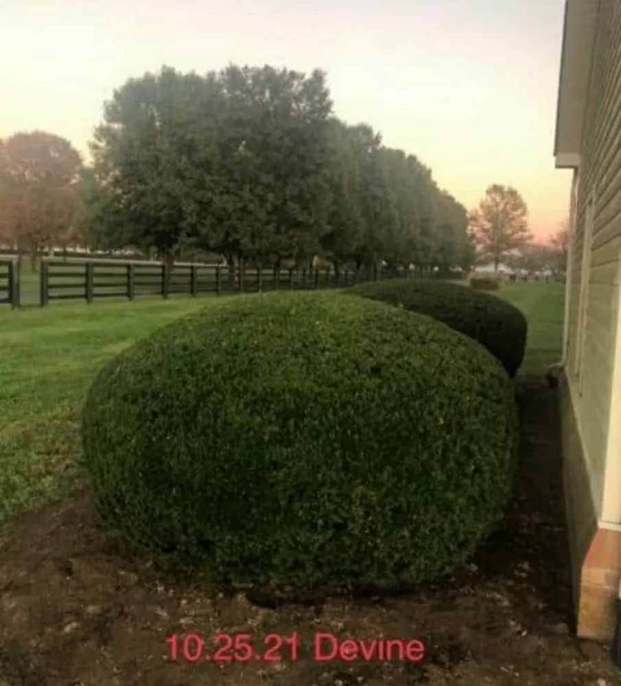 Reliable lawn care service in Lexington-Fayette, KY by Devine Landscapes and Exterior Homes Services