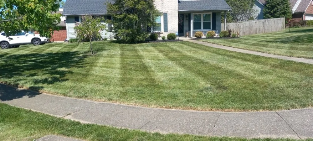 Expert yard cleanup service in Lexington-Fayette, KY - Devine Landscapes and Exterior Homes Services